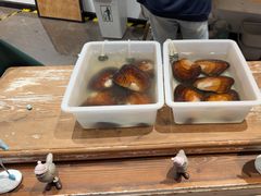 -十八字金·银饰·开蚌DIY·手工体验团建(魏公芳华里店)