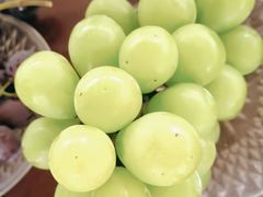 -马陆小张葡萄园农家乐