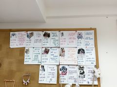 -汪说·狗咖·拼豆·宠物周边DIY(旺城大厦店)