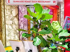 -北京全聚德(王府井店)