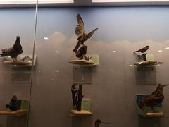 -下渚湖国家湿地公园科普馆