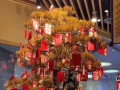 -伊豆野菜村(大族广场店)