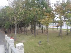 -上海海湾国家森林公园