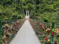 -西双版纳原始森林公园