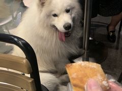 -达美乐比萨(留仙大道店)
