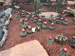 -南通洲际绿博园