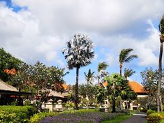-Rock Bar Bali(Bali)