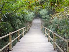 -西安秦岭野生动物园