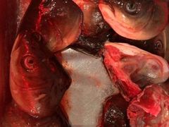 -烤尚宫韩式烤肉火锅自助餐厅