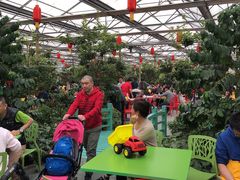 餐饮设施-南宫五洲植物乐园