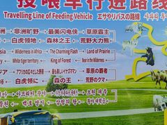 -上海野生动物园
