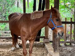 -驿舍·民國老营房院子私房菜(科学会堂店)
