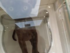 -萌兽医馆·眼科·异宠专科(三里屯店)