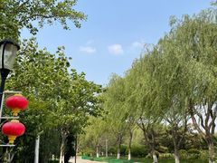 -燕郊植物园