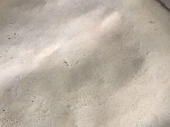 -向民炒鸡老店(火车站店)