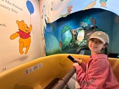 -小熊维尼历险之旅