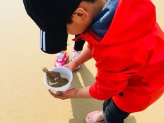 -兴旺渔家