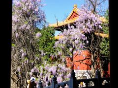 -北京国子监胡同