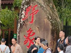 -野象谷景区