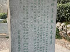 -龙井村