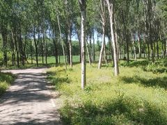 -东郊湿地公园