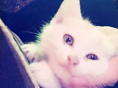 -星宿秘码(鼓浪屿老店)