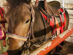 -华谊兄弟（长沙）电影小镇