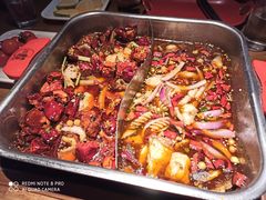 -舒来喜鱼锅(伊河路店)