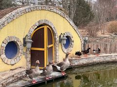 -南宫五洲植物乐园