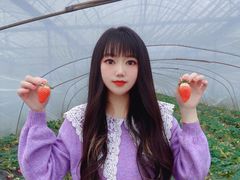 -喜杨洋草莓采摘园