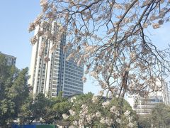 -红星桥(地铁站)