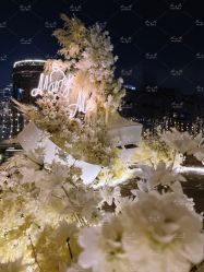 -迈瑞米求婚策划(静安店)