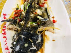 -四姑娘川味海鲜(八爪鱼店)