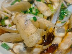 葱爆蛏子-高佳庄·舟山海鲜(海景旗舰店)