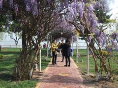 庭院-西昌邛海宾馆