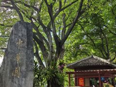-柳侯公园