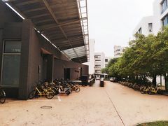 -同济大学四平路校区游泳馆