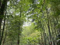 -敬亭山风景名胜区