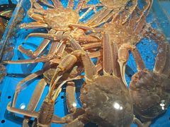 -徐记海鲜(南油永新汇店)