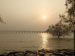-宝安西湾红树林湿地公园