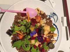 -唐猫庭院·千年陕菜(大唐不夜城店)