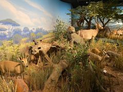 -陕西自然博物馆