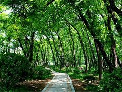 -金孔雀温泉旅游度假村