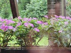 -黔蘑菇四季餐厅(观山湖店)