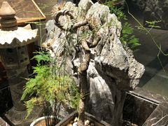-庄隐阁(悠方广场店)