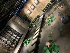 -轻武堂传统射箭·功夫茶·射击体验馆(仁和新城店)