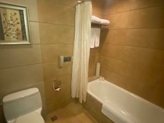 -长沙小天鹅戴斯酒店