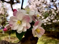 -元大都城垣遗址公园