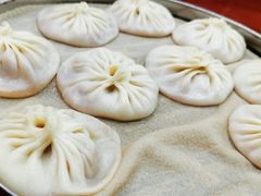 -东京包子楼(政七街店)