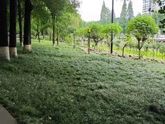 -温江公园